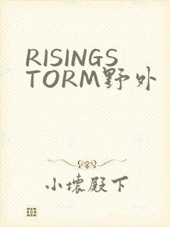 RISINGSTORM野外