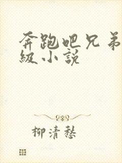 奔跑吧兄弟限制级小说