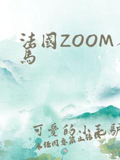 法国ZOOM人马