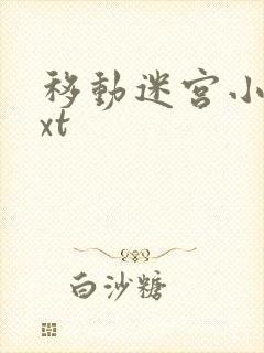 移动迷宫小说txt