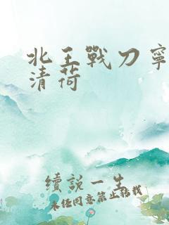 北王战刀宁北苏清荷