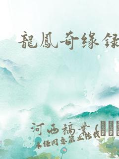 龙凤奇缘录