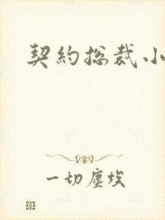 契约总裁小萌宝