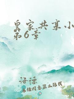 皇家共享小公主第6章