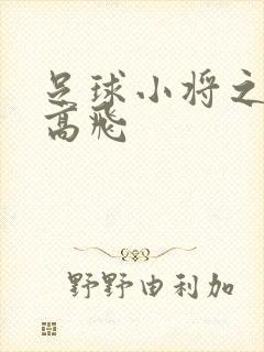 足球小将之展翅高飞