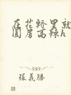 在花轿里就开始圆房高辣h