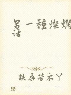 另一种灿烂的生活