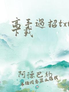 高手过招txt下载