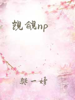 觊觎np