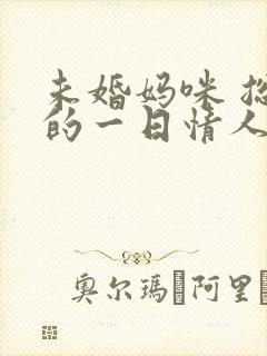 未婚妈咪 总裁的一日情人
