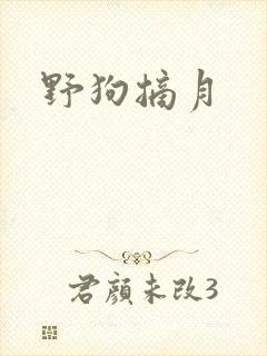 野狗摘月