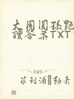 大团圆孙艳梅阅读答案TXT下载