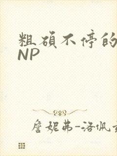 粗硕不停的进出NP
