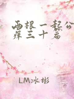 两根一起公憩止痒三十篇