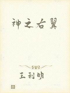 神之右翼