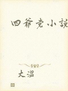 四爷党小说