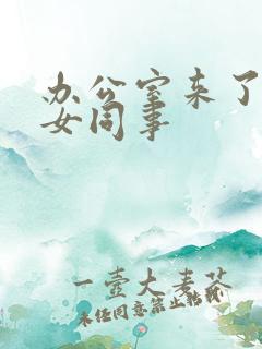 办公室来了极品女同事