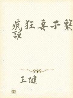 疯狂妻子系列小说