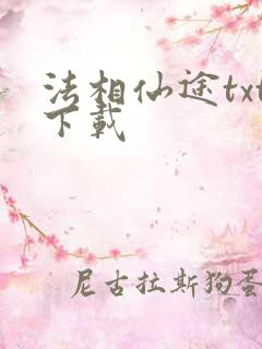 法相仙途txt下载