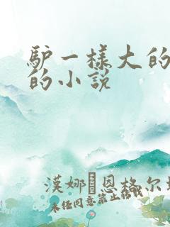 驴一样大的凶器的小说