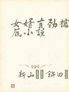 女婿有劲枪枪到底小说