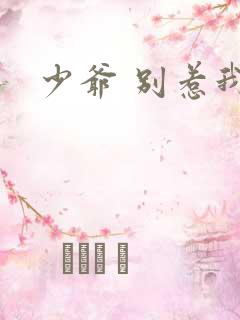 少爷 别惹我
