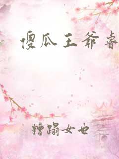 傻瓜王爷睿智妃