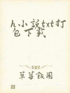 h小说txt打包下载