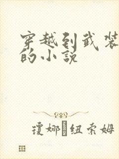 穿越到武装少女的小说