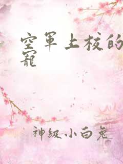 空军上校的邪魅宠