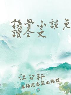 铁骨小说免费阅读全文