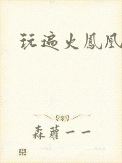 玩遍火凤凰队员