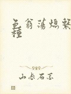 色翁荡熄系列借种