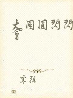 大团圆闪闪相亲会