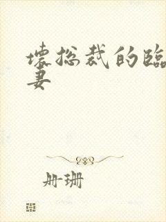 坏总裁的临时娇妻