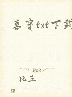 喜宝txt下载