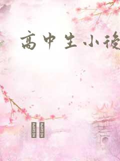 高中生小后妈