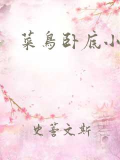 菜鸟卧底小正太