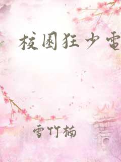 校园狂少电子书