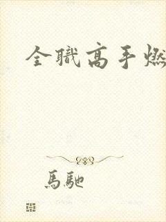 全职高手燃文