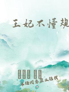 王妃不懂规矩