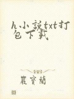 h小说txt打包下载