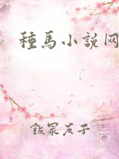种马小说网