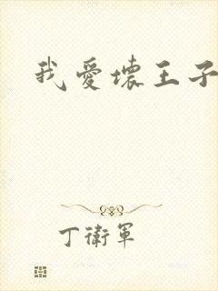 我爱坏王子
