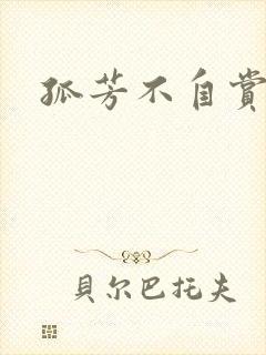 孤芳不自赏小说