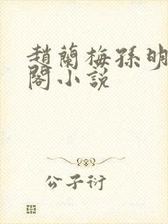 赵兰梅孙明笔趣阁小说