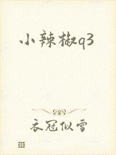 小辣椒q3