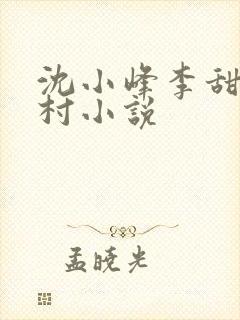 沈小峰李甜的乡村小说