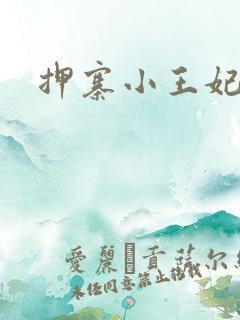 押寨小王妃