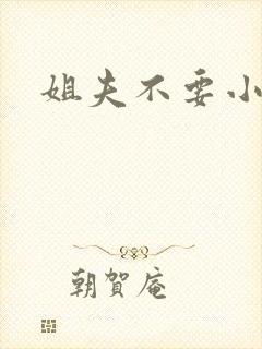 姐夫不要小说